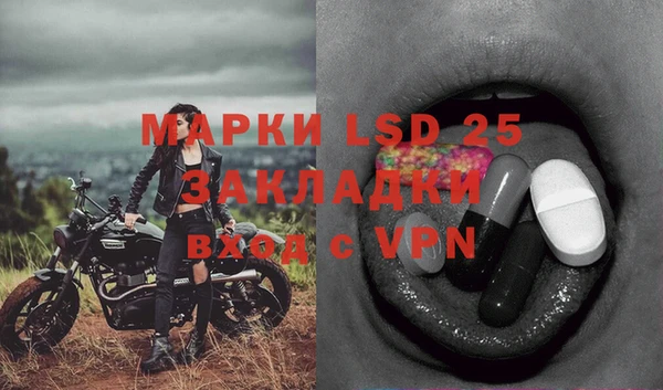 PSILOCYBIN Алексеевка