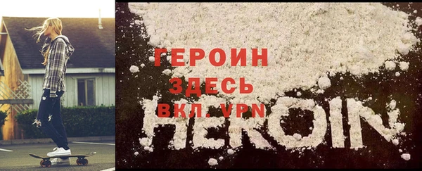 сатива Новокубанск