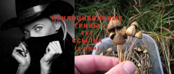 PSILOCYBIN Алексеевка